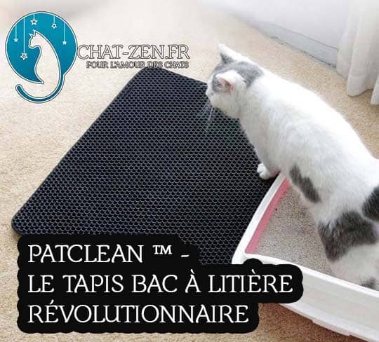 tapis révolutionnaire pour chat